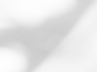 Shadow Background Abstract Leave Overlay Wall Floor Light Effect White Plant Sunlight Backdrop Mockup Minimal Spring Summer Nature Grey blur Photography Scene Template Poster Card Frame Product.