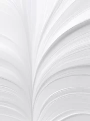 Wandaufkleber White paper texture abstract background white background white texture wallpaper paper texture grey, texture, white, pattern, design, wallpaper, abstract, ai © Al Amin
