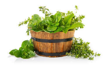 Spicy herbs in wooden basket. Gardening farming. Still life with fresh spice mint oregano and thyme. Isolated on white background.