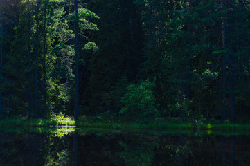 Tranquil Lake Surrounded by Trees and Grass © Mikael