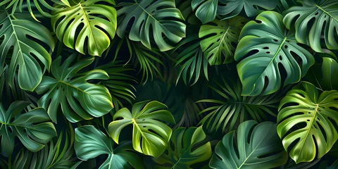 Foto op Plexiglas Abstract foliage and botanical background featuring green tropical forest wallpaper of monstera leaves, palm leaf, and branches in a hand-drawn pattern. Perfect for banners, prints, decor. © NE97