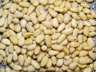 Pile of pine seeds. Pine seeds background