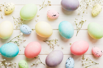 Happy Easter composition. Easter eggs on colored table with gypsophila. Natural dyed colorful eggs...