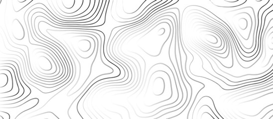 Abstract wave paper curved reliefs background .gradient multicolor wave curve lines banner background design .topographic contours map background .Vector geographic contour map.