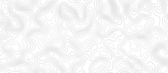 Abstract wave paper curved reliefs background .gradient multicolor wave curve lines banner background design .topographic contours map background .Vector geographic contour map.