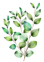 hand painted watercolour leaves design - obrazy, fototapety, plakaty