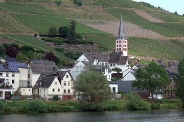 Zell-Merl an der Mosel