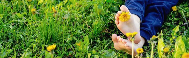 children's feet on the background of dandelions. nature.