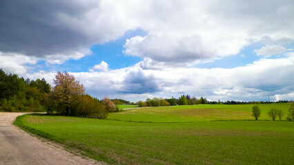 Fototapeta na wymiar Green fields in Kashubia region - Northern Poland.