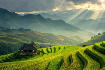 Cercles muraux Rizières Beautiful terraced rice fields in the mountains of Vietnam, golden sunshine and beautiful sunlight. Vibrant green rice terrace fields, sunset light shines on the edge of the mountain and valley, terra