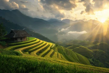 Papier Peint photo Mu Cang Chai Beautiful terraced rice fields in the mountains of Vietnam, golden sunshine and beautiful sunlight. Vibrant green rice terrace fields, sunset light shines on the edge of the mountain and valley, terra