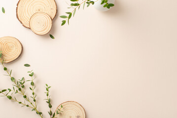 Nature tenderness concept. High angle view photo of branches and foliage of eucalyptus and round wooden stands on isolated pastel background with copy-space