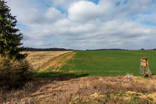 View of field, tree and hunting lookout