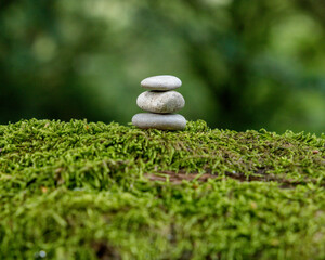 Pebbles on a moss covered tree branch