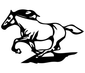 black and white horse