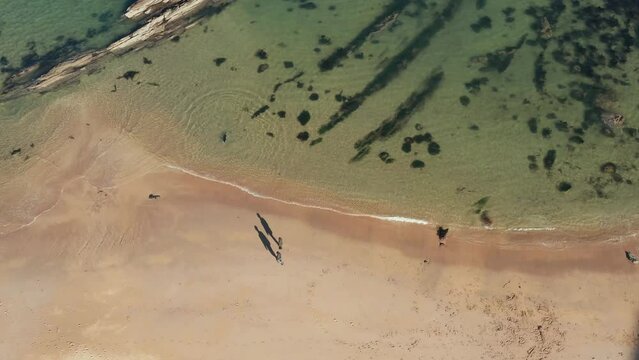 Aerial view of Canty Bay beach and coastline, North Berwick, Scotland, United Kingdom.