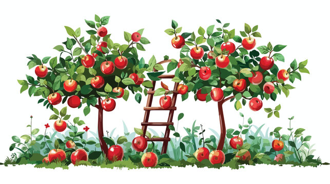 vector apple tree and ladder isolated on white background