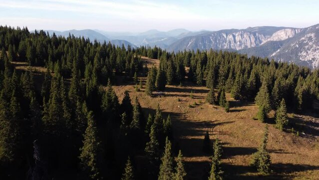 Drone flying along pine-tree forest on the top of Rax mountain revealing a spectacular mountain landscape behind it