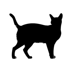 black cat silhouette