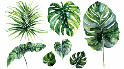 collection of watercolor of exotic plants and palm leaves. - 758763540