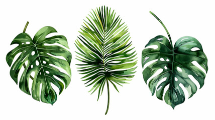 collection of watercolor of exotic plants and palm leaves. - 758763541