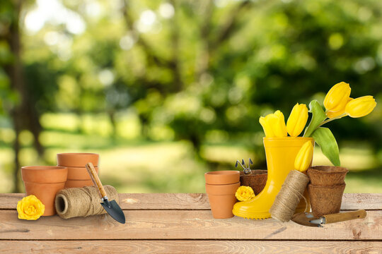 Agriculture and gardening, picture for your design for agriculture and gardening advertising