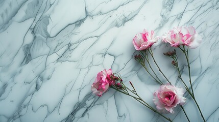 Różowe niewinne, łagodne kwiaty leżące na gładkiej marmurowej powierzchni, tworząc harmonijną kompozycję wiosennej eleganckiej i romantycznej sceny dla tekstu.