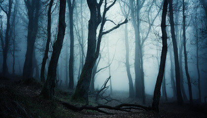 Dark forest with dead trees in fog. Mysterious horror scenery. Mystical atmosphere.