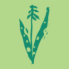 Botanical illustration, herbal emblem. Vector orchis militaris drawing. Linoleum print texture. Orchid logo design. Medicinal plants symbol design. Engraved healing herb icon. - 758769952