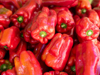 Bulk red peppers for sale at the market