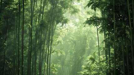 A dense green forest filled with a vast number of tall trees creating a lush and vibrant natural environment. The image showcases the dense foliage and abundance of plant life in the forest. - obrazy, fototapety, plakaty