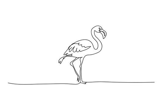 recommend clip art: flamingo bird, black line drawing, one line outline on white background