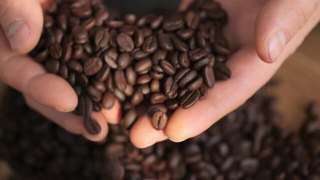 Roasted brown grains falling down on pile arabica super slow motion.Closeup full hands of fragrant coffee beans pouring on heap fresh harvest. 4K