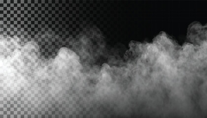 Adobe Illustrator Artwork Fog or smoke isolated transparent background. White cloudiness, mist, smog, dust, vapor PNG - obrazy, fototapety, plakaty