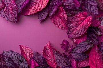 Purple Leaves on a Pink Background