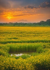 sunset over the lake