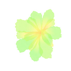 Watercolor brush strokes shape