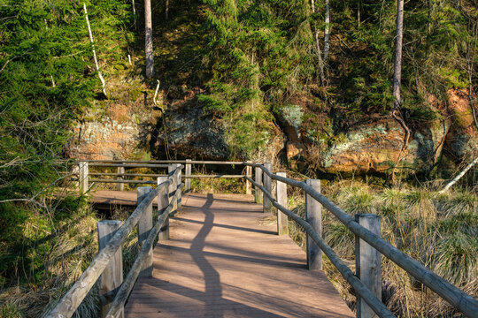 Tranquil Journey: Exploring Cirulisu Dabas Taka in Cesis, Latvia