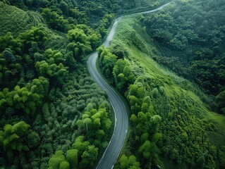 Sustainable Journey - Eco-friendly Adventure - Rural Road - Generate visuals of a sustainable journey, featuring an eco-friendly adventure along a rural road surrounded by lush landscapes