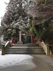雪が積もった箱根神社と鳥居