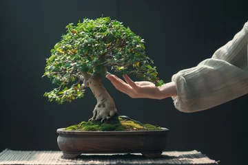 Fotobehang hands caressing a beautiful bonsai © Jorge Ferreiro
