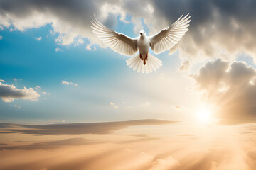 sky with white dove
