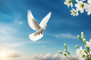 Obraz premium sky with white dove