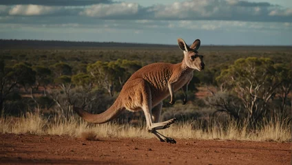 Rolgordijnen zonder boren Antilope kangaroo in the wild