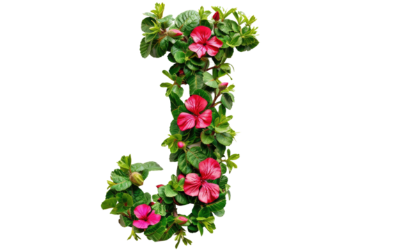 Floral Alphabet: J in Green and Red isolated on transparent Background - Powered by Adobe