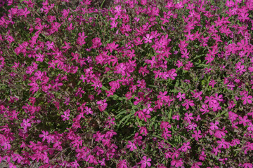東京港区南青山2丁目の風景