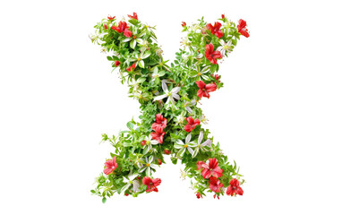 X-Marked Blooms: A Fusion of Green and Red isolated on transparent Background