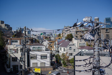 Fototapeta premium 南青山4丁目の都市風景