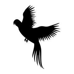 Vector parrot silhouette isolated on white background
