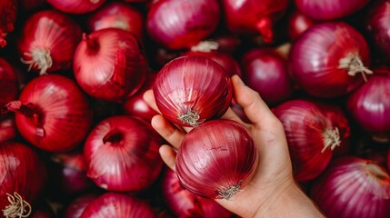 Hand holding red onion with selection on blurred background, copy space for text